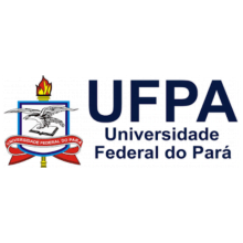 big-UFPA